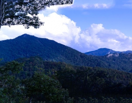 The Mountain View_14