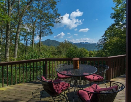 The Mountain View_27